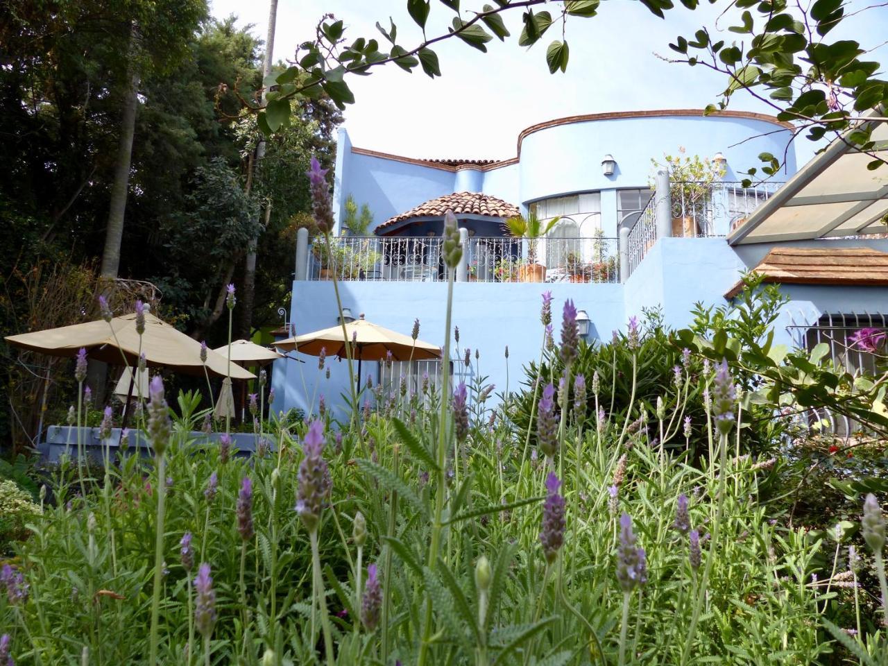 Casa Carly Hotell San Miguel de Allende Eksteriør bilde